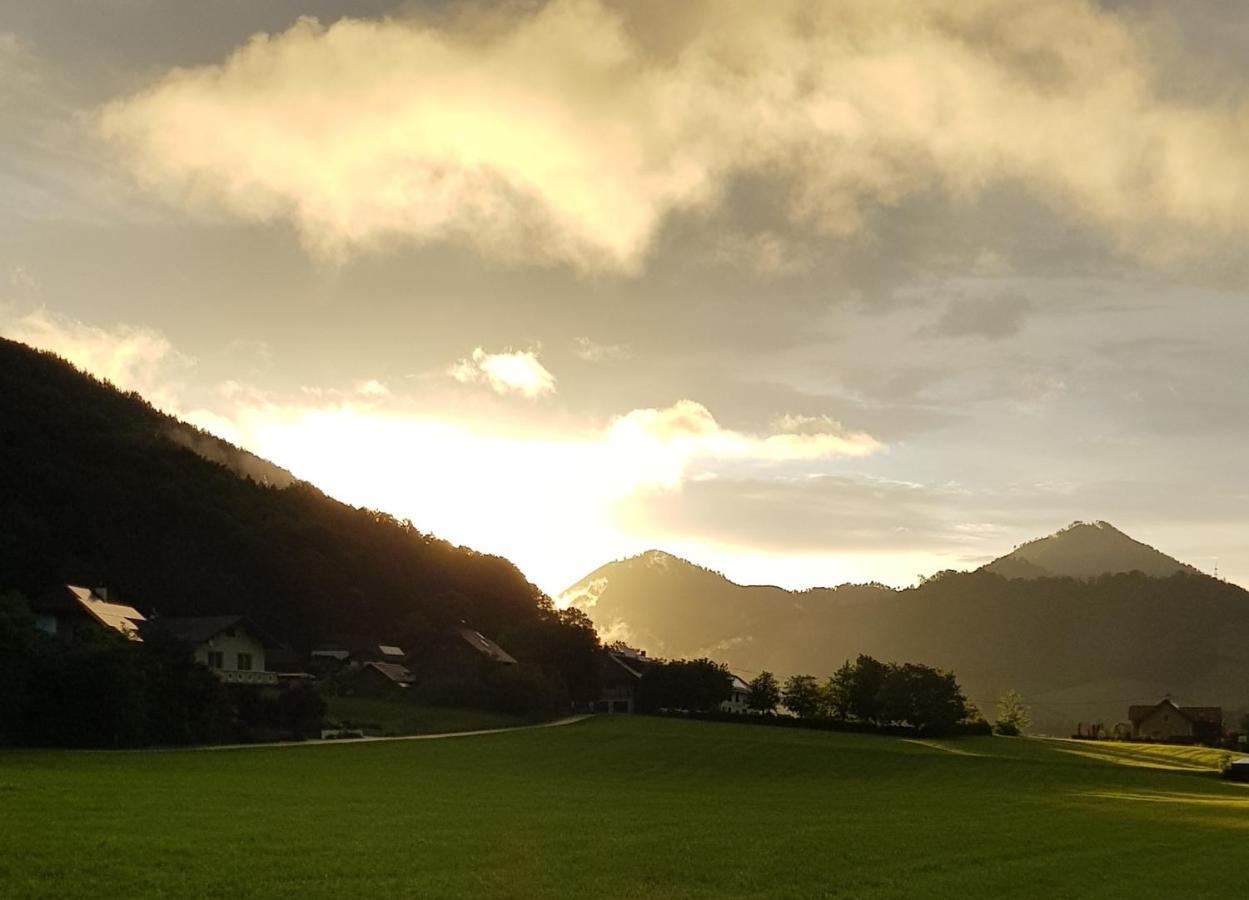 Bed and Breakfast Hof Zur Steinwaend Micheldorf in Oberösterreich Exterior foto